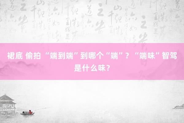 裙底 偷拍 “端到端”到哪个“端”？“端味”智驾是什么味？