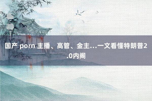 国产 porn 主播、高管、金主…一文看懂特朗普2.0内阁