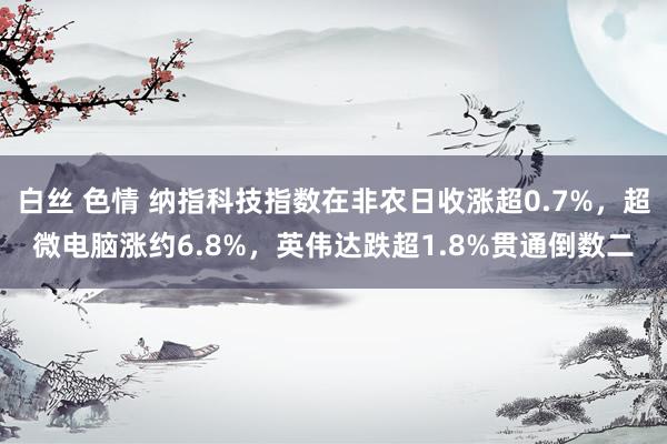 白丝 色情 纳指科技指数在非农日收涨超0.7%，超微电脑涨约6.8%，英伟达跌超1.8%贯通倒数二