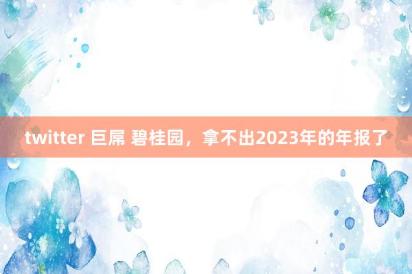 twitter 巨屌 碧桂园，拿不出2023年的年报了
