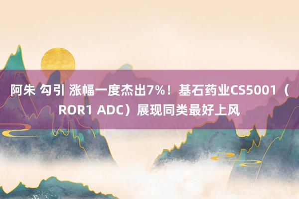 阿朱 勾引 涨幅一度杰出7%！基石药业CS5001（ROR1 ADC）展现同类最好上风
