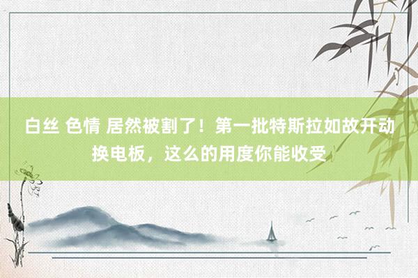 白丝 色情 居然被割了！第一批特斯拉如故开动换电板，这么的用度你能收受