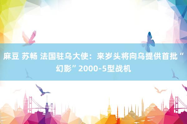 麻豆 苏畅 法国驻乌大使：来岁头将向乌提供首批“幻影”2000-5型战机