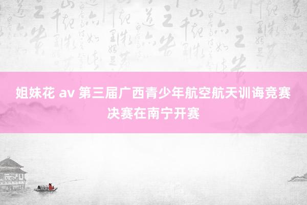 姐妹花 av 第三届广西青少年航空航天训诲竞赛决赛在南宁开赛