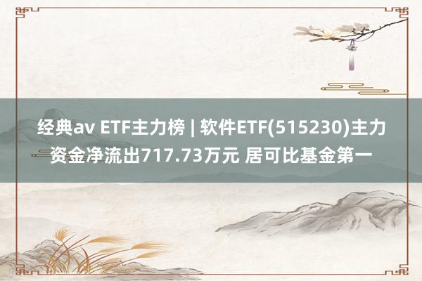 经典av ETF主力榜 | 软件ETF(515230)主力资金净流出717.73万元 居可比基金第一