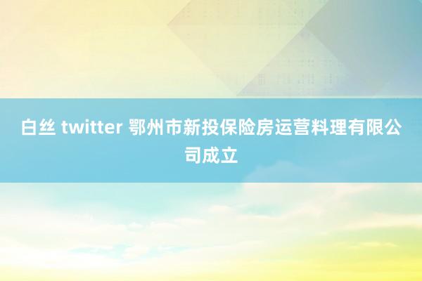 白丝 twitter 鄂州市新投保险房运营料理有限公司成立