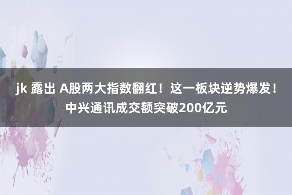 jk 露出 A股两大指数翻红！这一板块逆势爆发！中兴通讯成交额突破200亿元