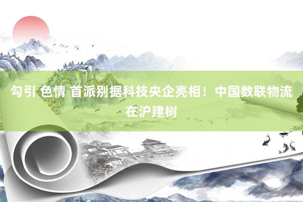 勾引 色情 首派别据科技央企亮相!中国数联物流在沪建树
