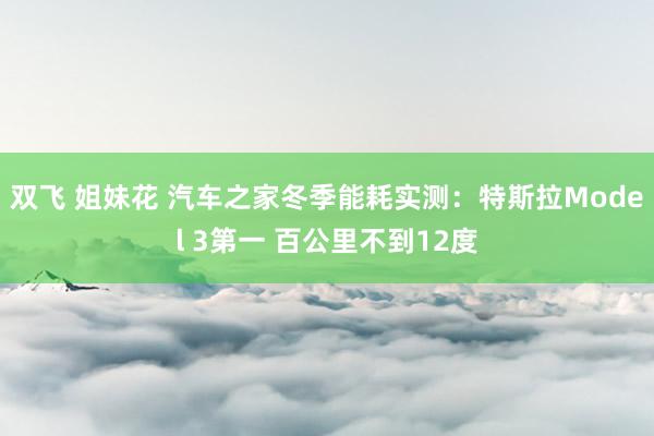 双飞 姐妹花 汽车之家冬季能耗实测：特斯拉Model 3第一 百公里不到12度