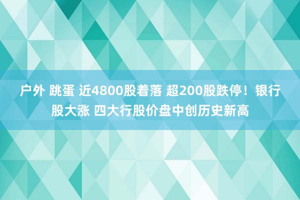 户外 跳蛋 近4800股着落 超200股跌停！银行股大涨 四大行股价盘中创历史新高