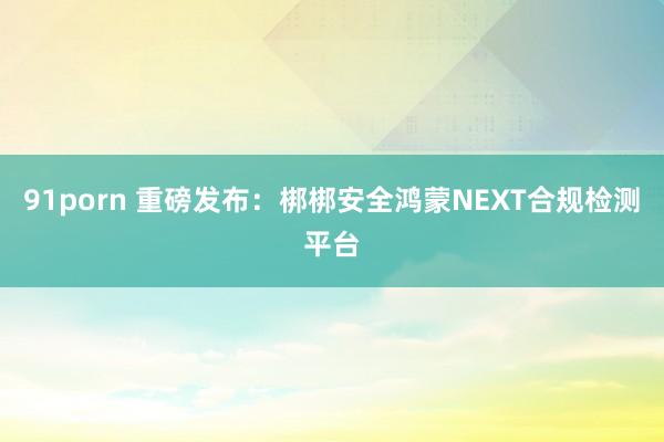 91porn 重磅发布：梆梆安全鸿蒙NEXT合规检测平台