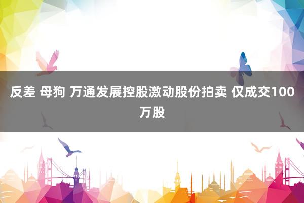 反差 母狗 万通发展控股激动股份拍卖 仅成交100万股