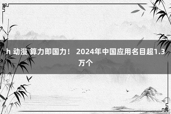h 动漫 算力即国力！ 2024年中国应用名目超1.3万个