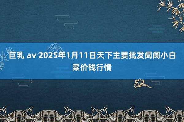 巨乳 av 2025年1月11日天下主要批发阛阓小白菜价钱行情