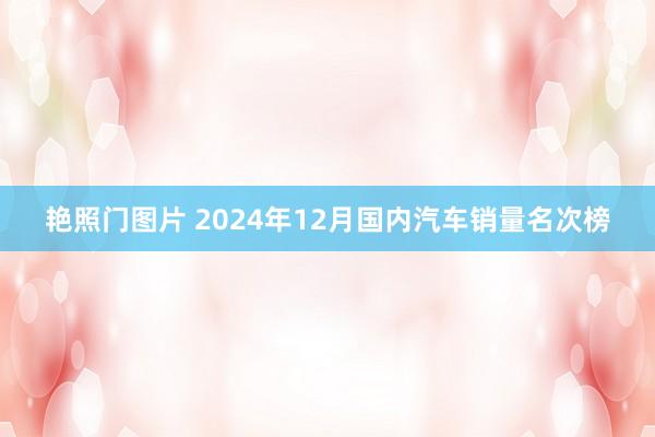 艳照门图片 2024年12月国内汽车销量名次榜