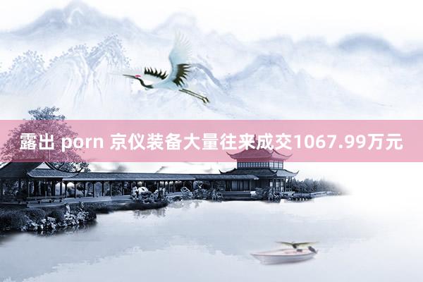 露出 porn 京仪装备大量往来成交1067.99万元
