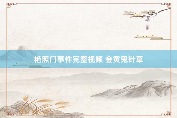 艳照门事件完整视频 金黄鬼针草