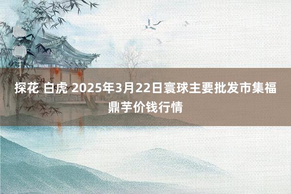 探花 白虎 2025年3月22日寰球主要批发市集福鼎芋价钱行情