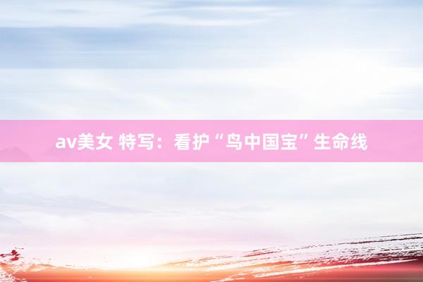 av美女 特写：看护“鸟中国宝”生命线