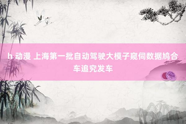 h 动漫 上海第一批自动驾驶大模子窥伺数据鸠合车追究发车