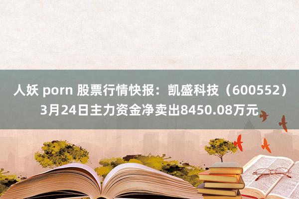 人妖 porn 股票行情快报：凯盛科技（600552）3月24日主力资金净卖出8450.08万元