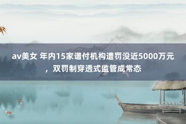 av美女 年内15家谱付机构遭罚没近5000万元，双罚制穿透式监管成常态