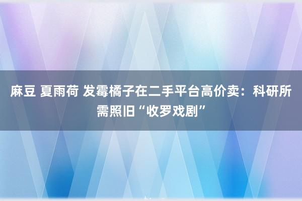 麻豆 夏雨荷 发霉橘子在二手平台高价卖：科研所需照旧“收罗戏剧”