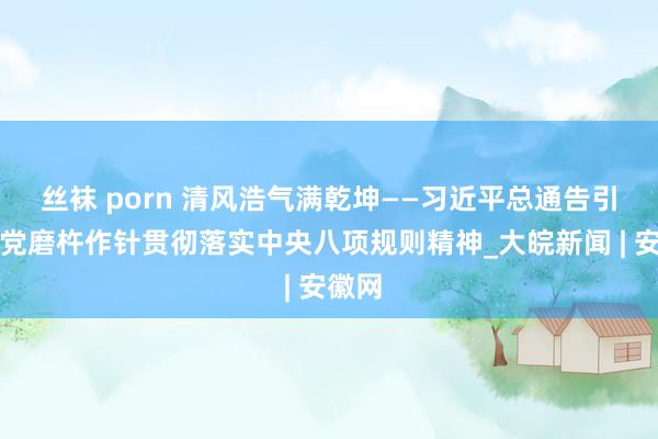 丝袜 porn 清风浩气满乾坤——习近平总通告引颈全党磨杵作针贯彻落实中央八项规则精神_大皖新闻 | 安徽网
