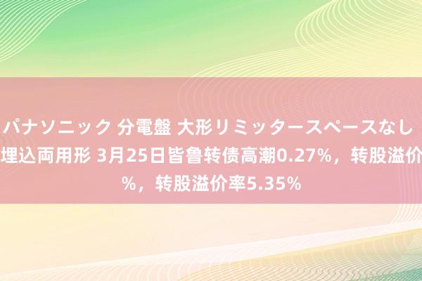 パナソニック 分電盤 大形リミッタースペースなし 露出・半埋込両用形 3月25日皆鲁转债高潮0.27%，转股溢价率5.35%