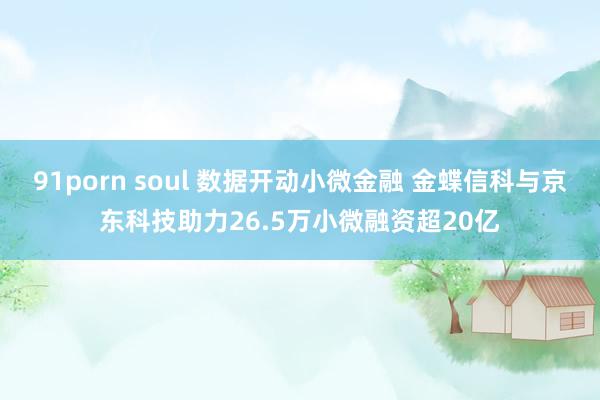91porn soul 数据开动小微金融 金蝶信科与京东科技助力26.5万小微融资超20亿