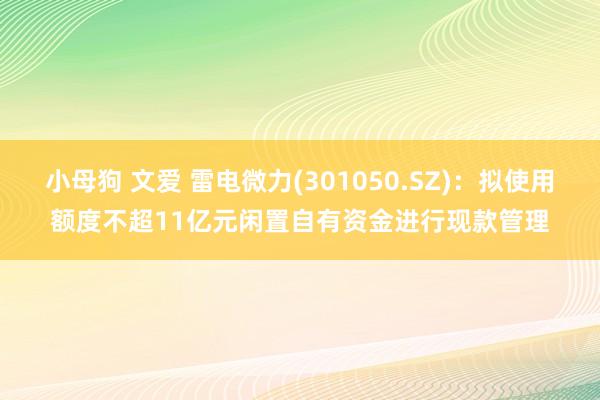 小母狗 文爱 雷电微力(301050.SZ)：拟使用额度不超11亿元闲置自有资金进行现款管理