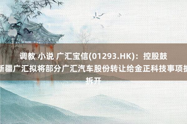 调教 小说 广汇宝信(01293.HK)：控股鼓励新疆广汇拟将部分广汇汽车股份转让给金正科技事项拆开