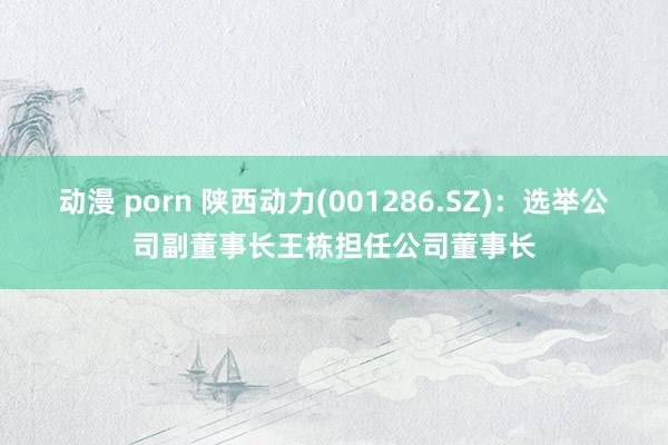 动漫 porn 陕西动力(001286.SZ)：选举公司副董事长王栋担任公司董事长