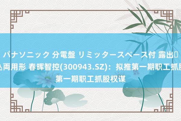 パナソニック 分電盤 リミッタースペース付 露出・半埋込両用形 春晖智控(300943.SZ)：拟推第一期职工抓股权谋