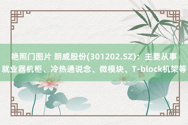 艳照门图片 朗威股份(301202.SZ)：主要从事就业器机柜、冷热通说念、微模块、T-block机架等