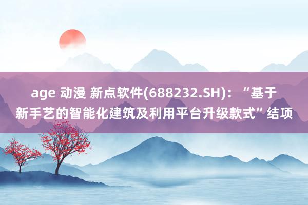 age 动漫 新点软件(688232.SH):“基于新手艺的智能化建筑及利用平台升级款式”结项