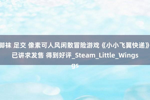 踩脚袜 足交 像素可人风闲散冒险游戏《小小飞翼快递》现已讲求发售 得到好评_Steam_Little_Wings