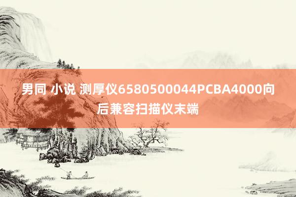 男同 小说 测厚仪6580500044PCBA4000向后兼容扫描仪末端