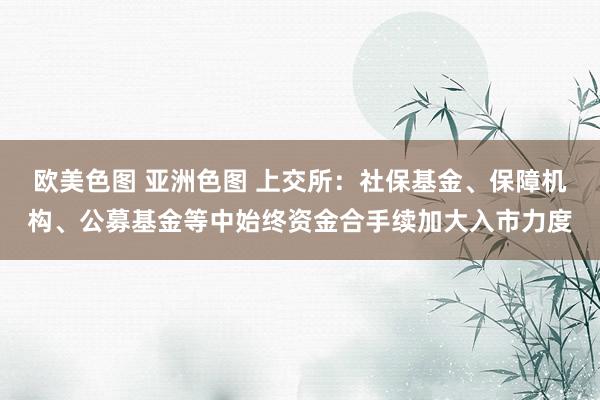 欧美色图 亚洲色图 上交所：社保基金、保障机构、公募基金等中始终资金合手续加大入市力度