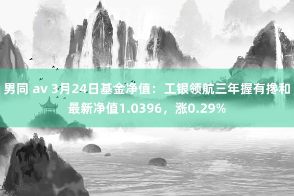 男同 av 3月24日基金净值：工银领航三年握有搀和最新净值1.0396，涨0.29%