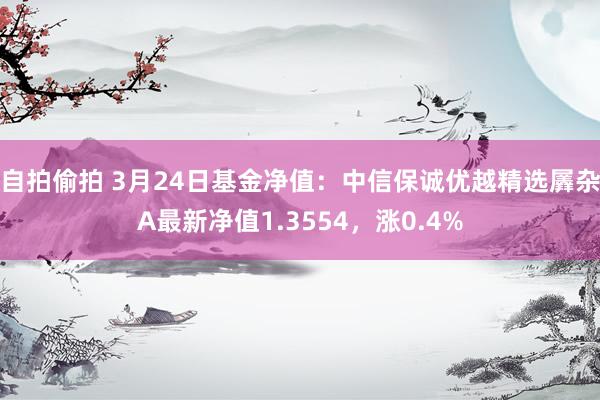 自拍偷拍 3月24日基金净值：中信保诚优越精选羼杂A最新净值1.3554，涨0.4%