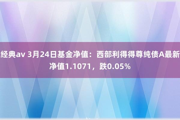 经典av 3月24日基金净值：西部利得得尊纯债A最新净值1.1071，跌0.05%