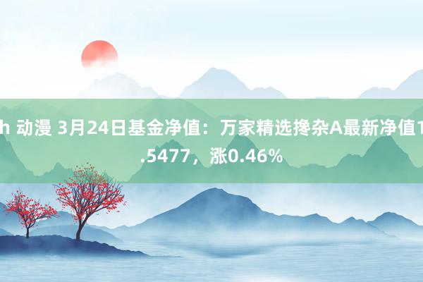 h 动漫 3月24日基金净值：万家精选搀杂A最新净值1.5477，涨0.46%