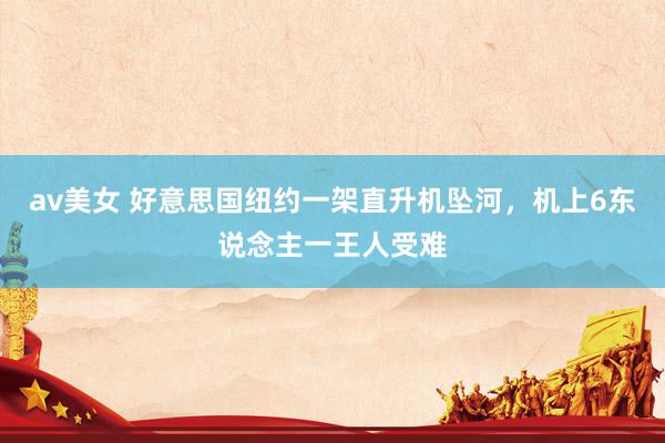 av美女 好意思国纽约一架直升机坠河，机上6东说念主一王人受难