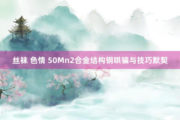 丝袜 色情 50Mn2合金结构钢哄骗与技巧默契