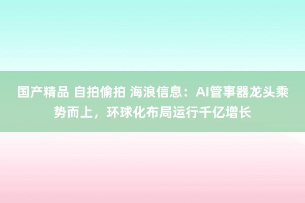 国产精品 自拍偷拍 海浪信息：AI管事器龙头乘势而上，环球化布局运行千亿增长