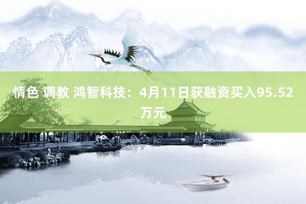 情色 调教 鸿智科技：4月11日获融资买入95.52万元
