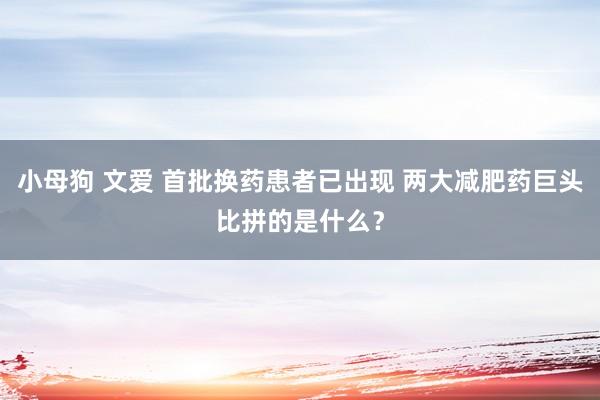 小母狗 文爱 首批换药患者已出现 两大减肥药巨头比拼的是什么？
