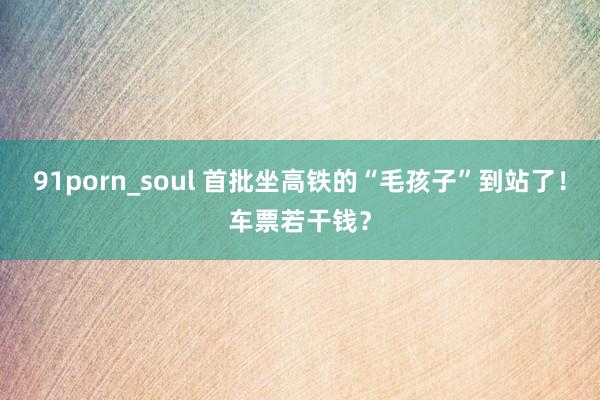 91porn_soul 首批坐高铁的“毛孩子”到站了！车票若干钱？