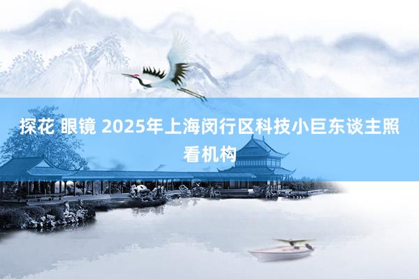 探花 眼镜 2025年上海闵行区科技小巨东谈主照看机构